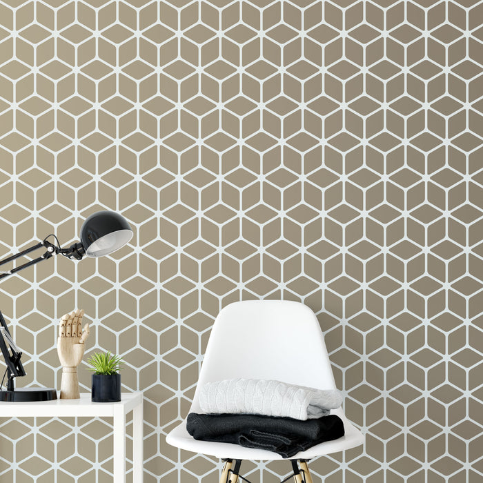 Hexagon Illusion Pattern Wall Stencil